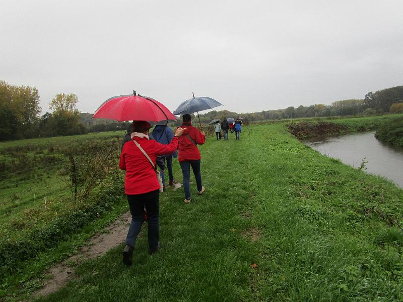 Herfstwandeling (9).JPG